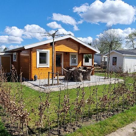 Nieuw - Luxe Blokhut Chalet In Bosrijke Omgeving Anloo Bagian luar foto