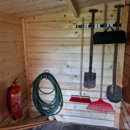 Nieuw - Luxe Blokhut Chalet In Bosrijke Omgeving Anloo Bagian luar foto