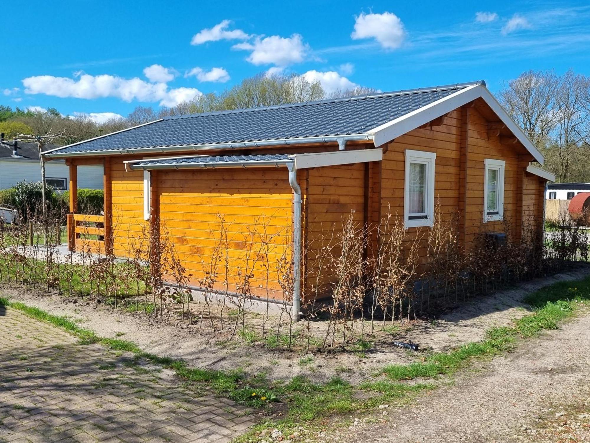 Nieuw - Luxe Blokhut Chalet In Bosrijke Omgeving Anloo Bagian luar foto