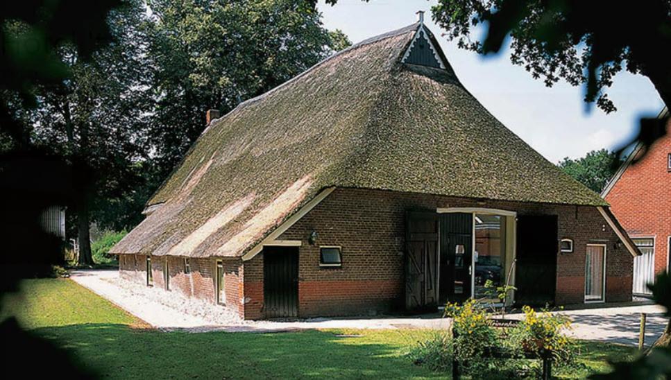 Nieuw - Luxe Blokhut Chalet In Bosrijke Omgeving Anloo Bagian luar foto