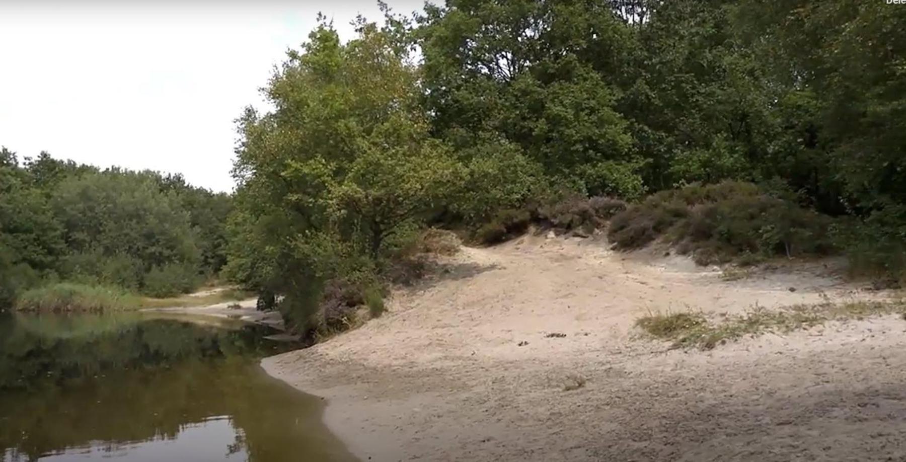 Nieuw - Luxe Blokhut Chalet In Bosrijke Omgeving Anloo Bagian luar foto