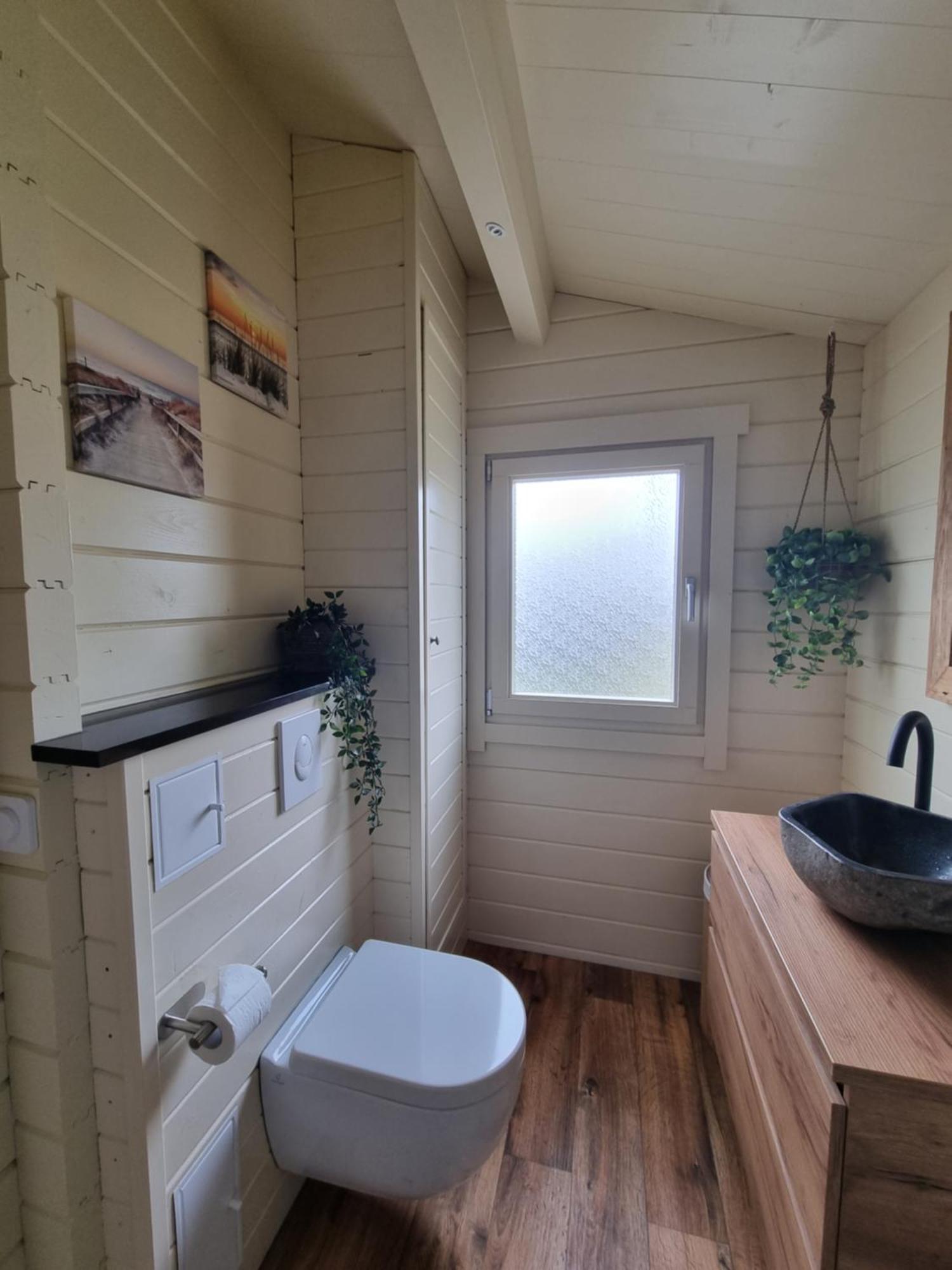 Nieuw - Luxe Blokhut Chalet In Bosrijke Omgeving Anloo Bagian luar foto