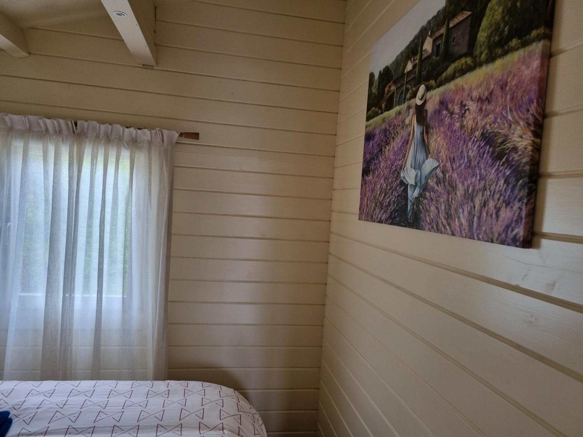 Nieuw - Luxe Blokhut Chalet In Bosrijke Omgeving Anloo Bagian luar foto