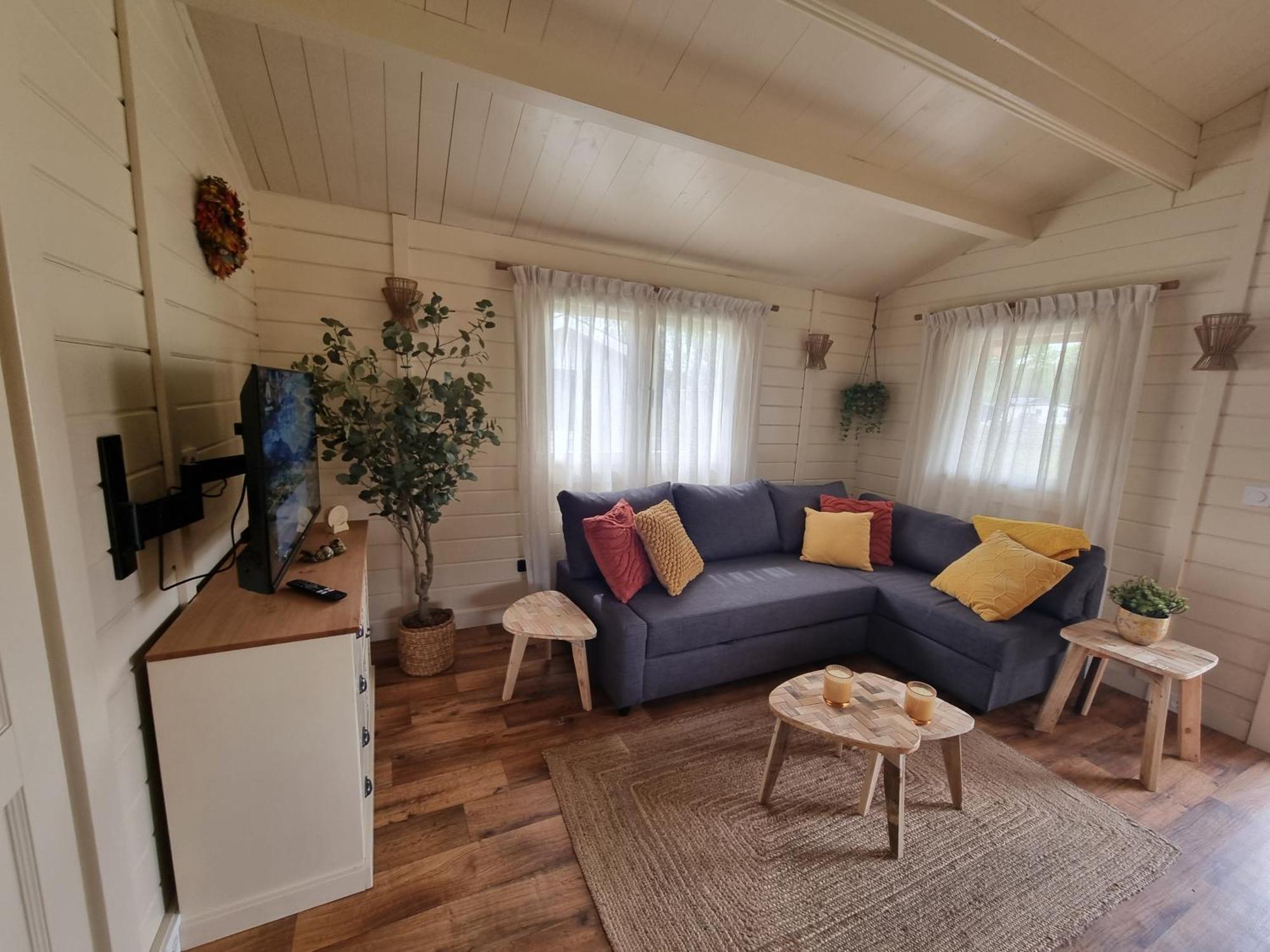 Nieuw - Luxe Blokhut Chalet In Bosrijke Omgeving Anloo Bagian luar foto